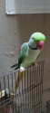 /public_uploads/items_thumbs/thumb_1780075684-1001230722.jpg