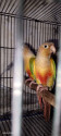 /public_uploads/items_thumbs/thumb_1780434106-1000124357.jpg