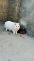 /public_uploads/items_thumbs/thumb_1780776752-1000176706.jpg