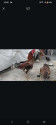 /public_uploads/items_thumbs/thumb_1780852004-1000260273.jpg