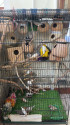 /public_uploads/items_thumbs/thumb_1780936078-IMG-20260607-WA0003.jpg