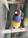 /public_uploads/items_thumbs/thumb_1781626498-IMG-20260613-WA0034.jpg