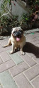 /public_uploads/items_thumbs/thumb_1782038275-IMG-20260613-WA0051.jpg