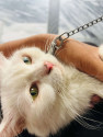 /public_uploads/items_thumbs/thumb_1782648696-IMG-20260627-WA0032.jpg
