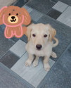 /public_uploads/items_thumbs/thumb_1783252303-IMG_20260704_120510.jpg