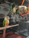 /public_uploads/items_thumbs/thumb_1783258687-IMG_20260622_111904.jpg