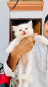 /public_uploads/items_thumbs/thumb_1783508017-IMG-20260707-WA0080.jpg