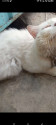 /public_uploads/items_thumbs/thumb_1784380885_6a5b7dd5edea7-scaled_1000207967.jpg