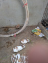 /public_uploads/items_thumbs/thumb_1785091126_6a665436487ac-scaled_11715.jpg