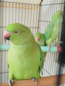 /public_uploads/items_thumbs/thumb_1785147119_6a672eef60fd8-scaled_1000102566.jpg