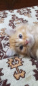 /public_uploads/items_thumbs/thumb_1785177035_6a67a3cb6b540-scaled_IMG-20260710-WA0006.jpg