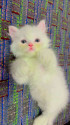 /public_uploads/items_thumbs/thumb_1785188669_6a67d13d7170b-scaled_IMG-20260726-WA0046.jpg