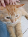 /public_uploads/items_thumbs/thumb_1785321526_6a69d83669475-upload_1785321495896.jpg