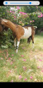 /public_uploads/items_thumbs/thumb_1785336303_6a6a11ef9a1df-scaled_Screenshot_20260725-124649_Video_Player.jpg