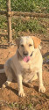 /public_uploads/items_thumbs/thumb_1785756178_6a707a12459f6-scaled_1000070038.jpg