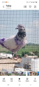 /public_uploads/items_thumbs/thumb_1785853151_6a71f4dfced7f-scaled_1000050873.jpg
