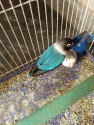 /public_uploads/items_thumbs/thumb_1785927822_6a73188e77183-scaled_1000032152.jpg