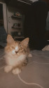 /public_uploads/items_thumbs/thumb_1785945979_6a735f7b73249-scaled_1000417255.jpg