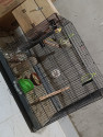 /public_uploads/items_thumbs/thumb_1787087025_6a84c8b192838-scaled_1000448878.jpg
