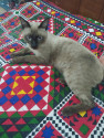 /public_uploads/items_thumbs/thumb_1788026919_6a93202780d66-scaled_1675682.jpg