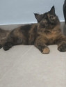 /public_uploads/items_thumbs/thumb_1790697542_6abbe04632aeb-scaled_1000416493.jpg